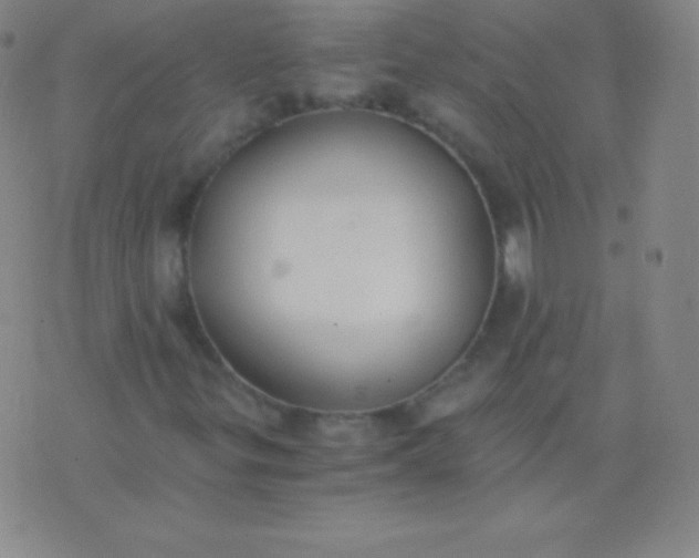 X0000076251299200610122155