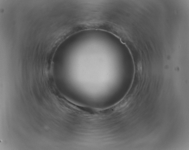 X0000076251300200610122155