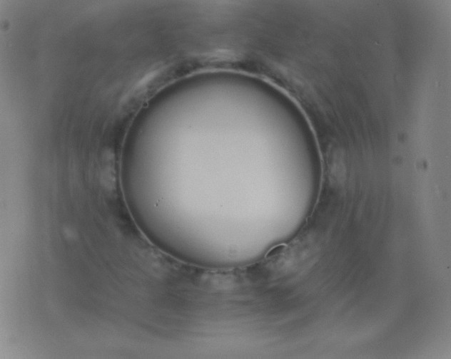 X0000076251301200610122155