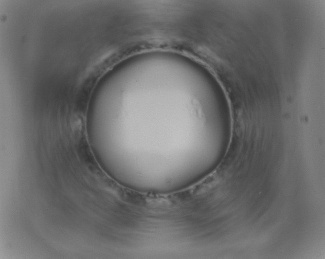 X0000076251302200610122155