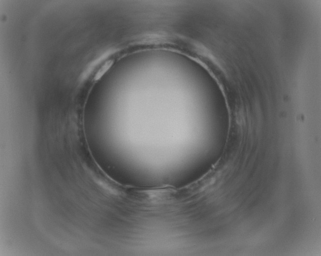 X0000076251304200610122155