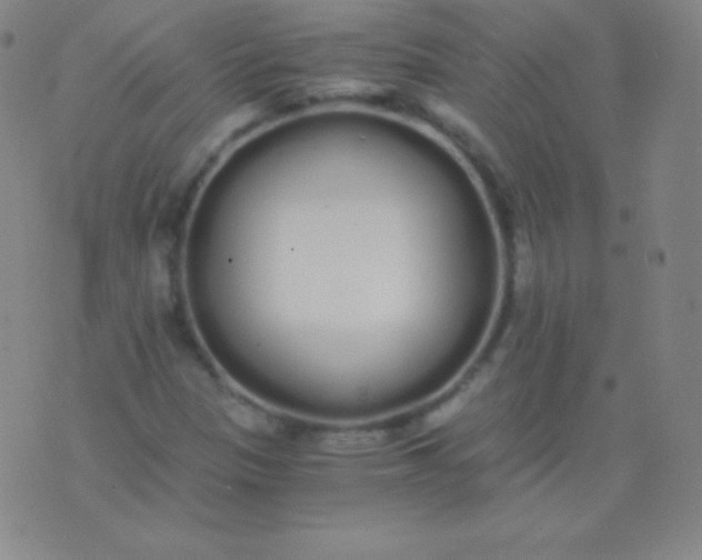 X0000076251305200610122155