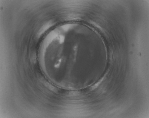 X0000076251306200610122155