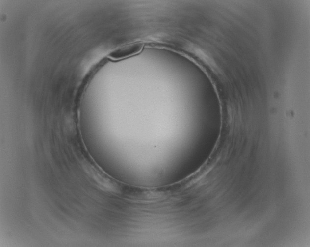 X0000076251308200610122155