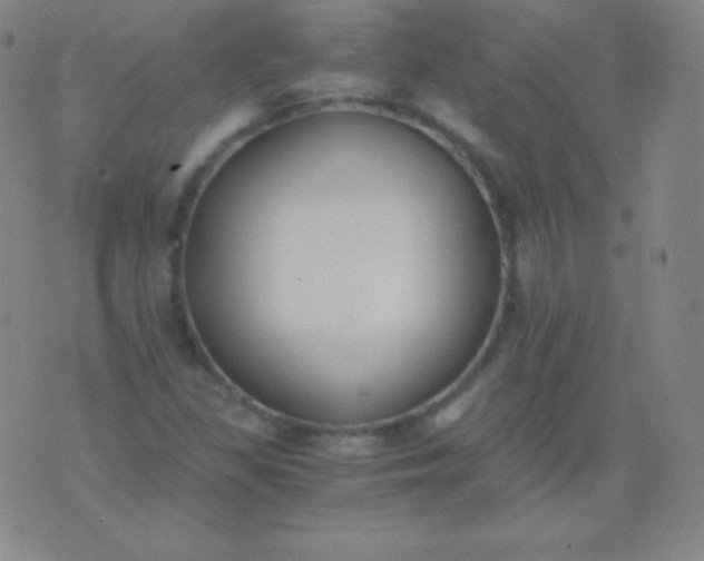 X0000076251309200610122155