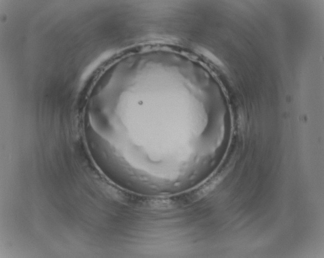 X0000076251310200610122155