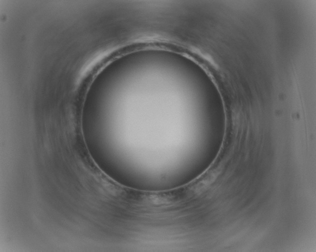 X0000076251311200610122155