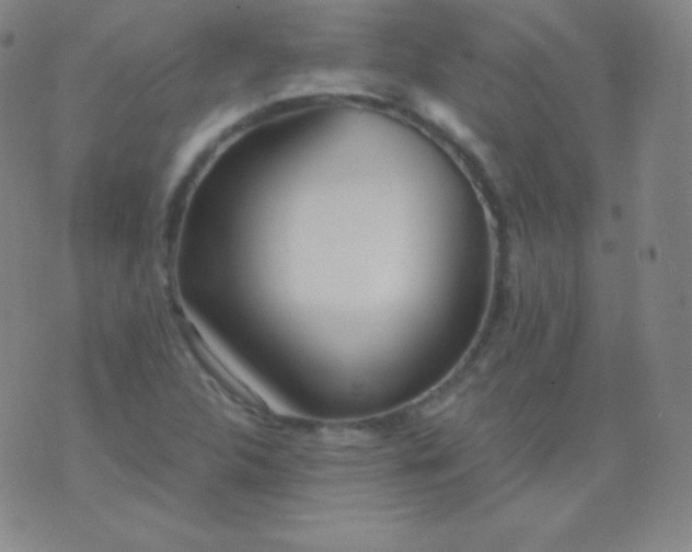 X0000076251312200610122155