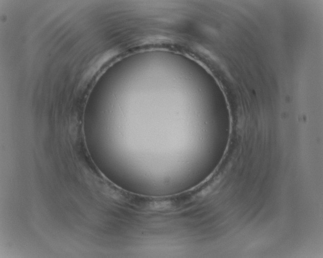 X0000076251313200610122155