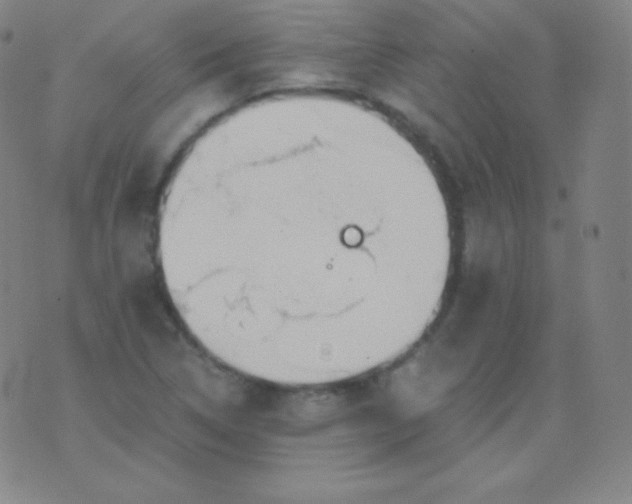 X0000076251314200610122155