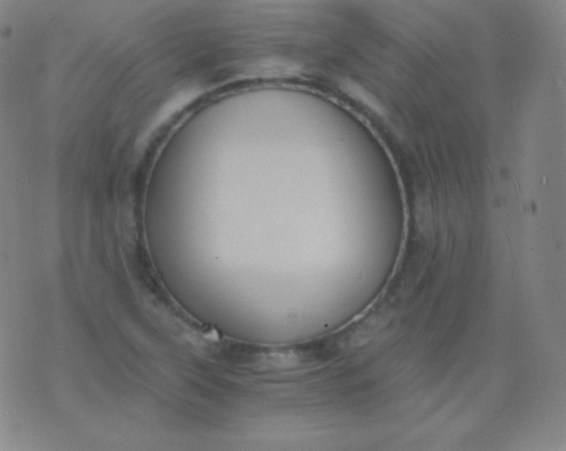 X0000076251315200610122155