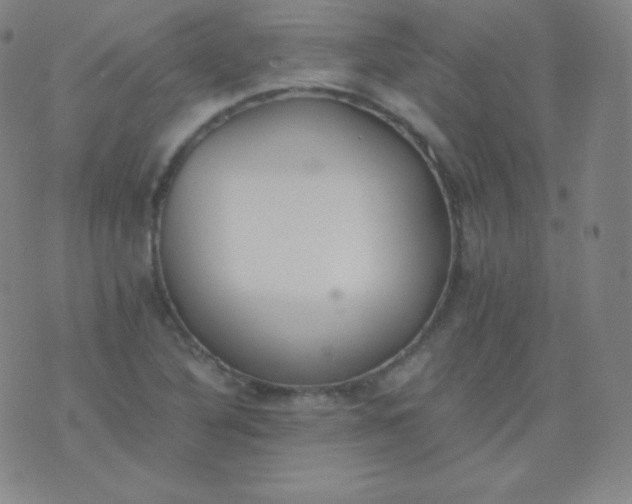 X0000076251316200610122155