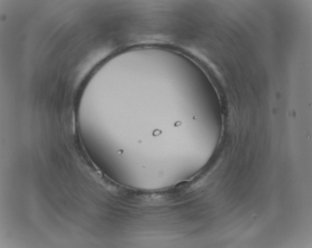 X0000076251317200610122155