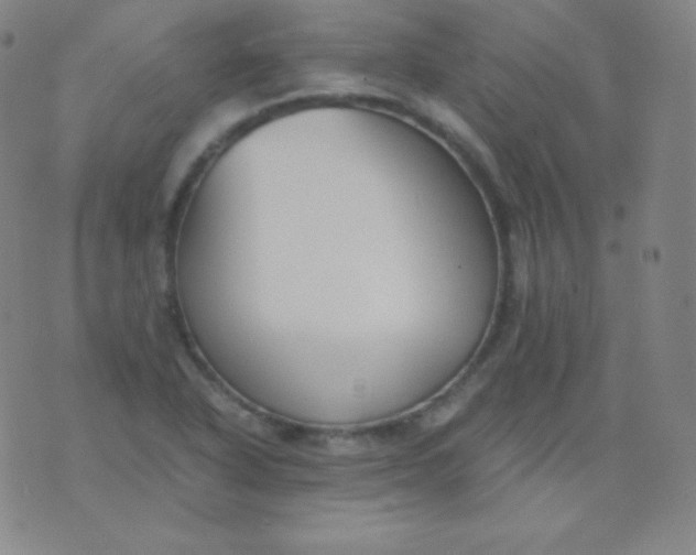 X0000076251318200610122155