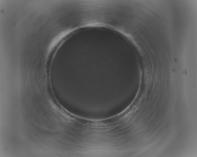 X0000076251319200610122155