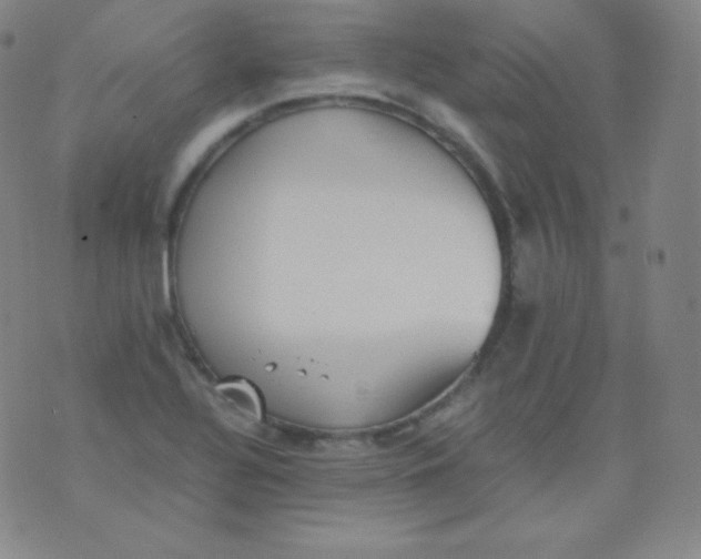 X0000076251320200610122155