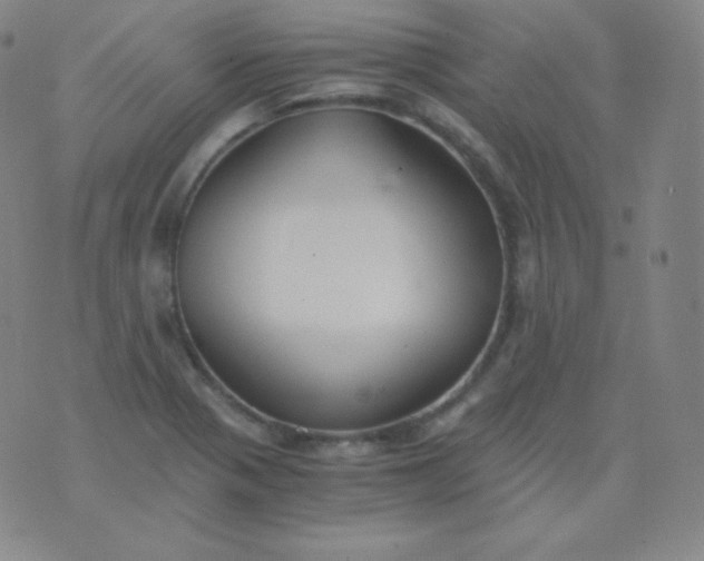 X0000076251321200610122155