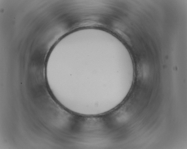 X0000076251322200610122155