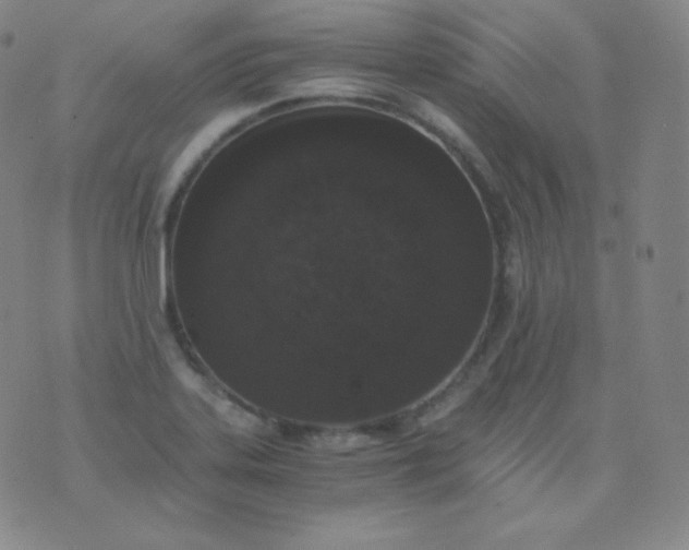 X0000076251323200610122155