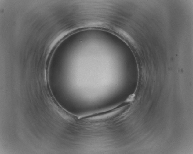 X0000076251324200610122155