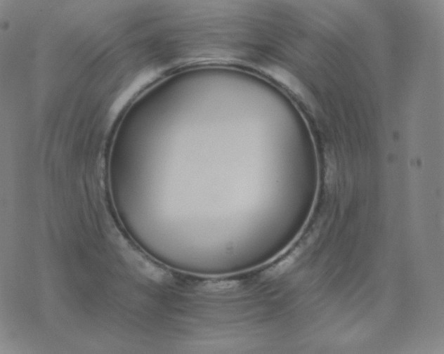 X0000076251325200610122155