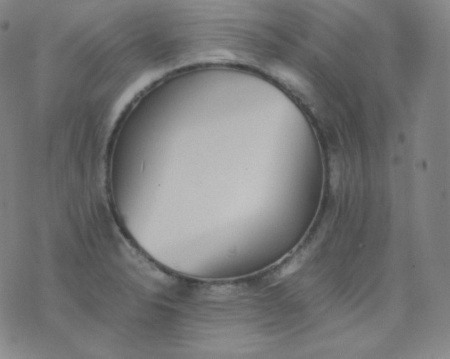 X0000076251326200610122155