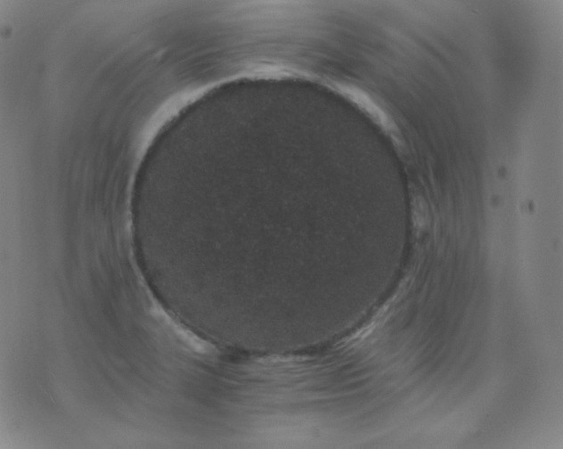 X0000076251327200610122155