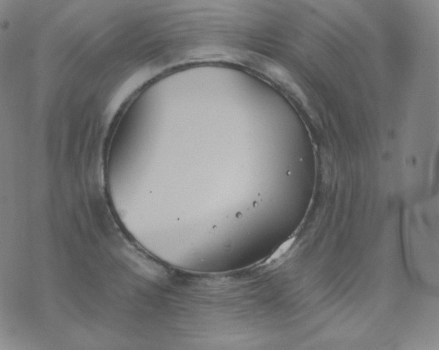 X0000076251328200610122155