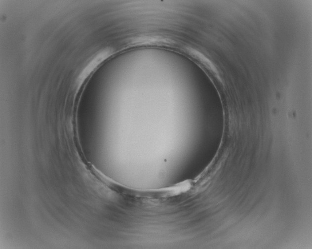 X0000076251330200610122155