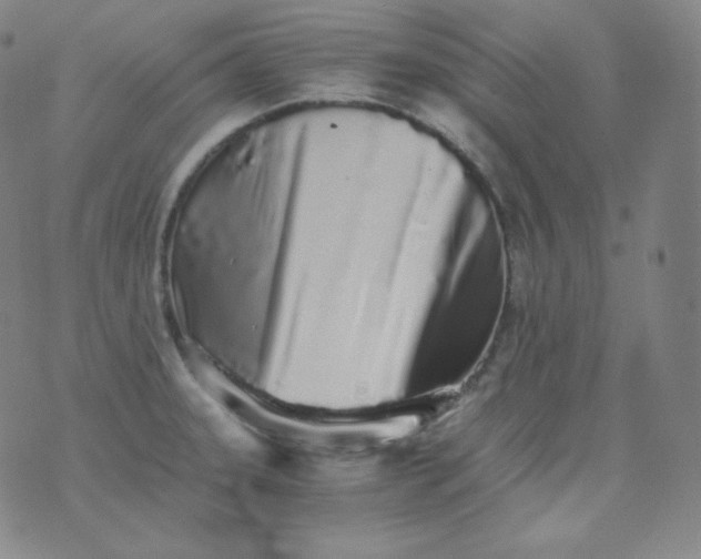 X0000076251331200610122155