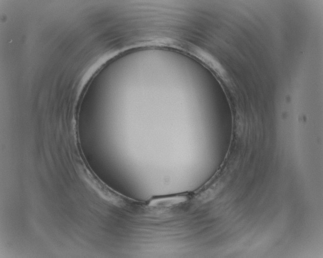 X0000076251332200610122156