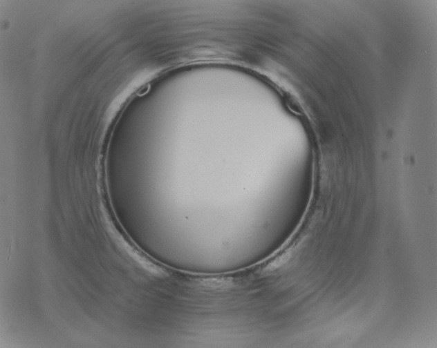 X0000076251333200610122156