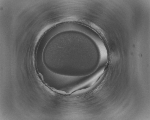 X0000076251334200610122156