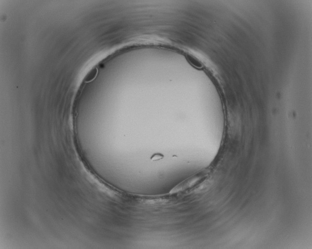 X0000076251335200610122156