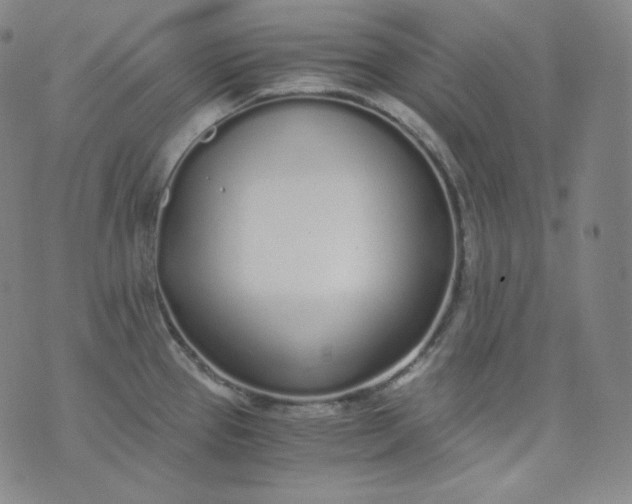 X0000076251337200610122156