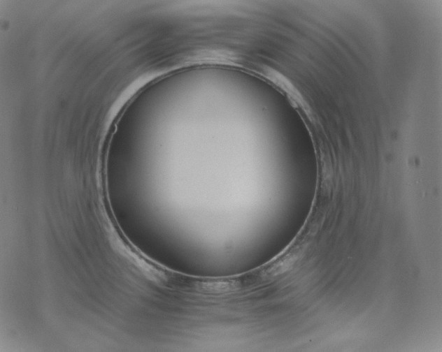 X0000076251339200610122156