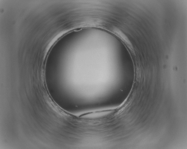 X0000076251340200610122156