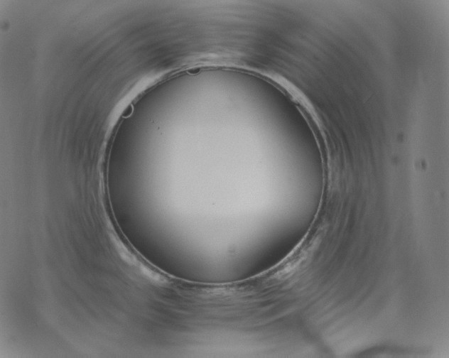 X0000076251341200610122156