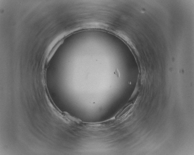 X0000076251342200610122156