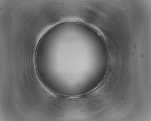 X0000076251343200610122156