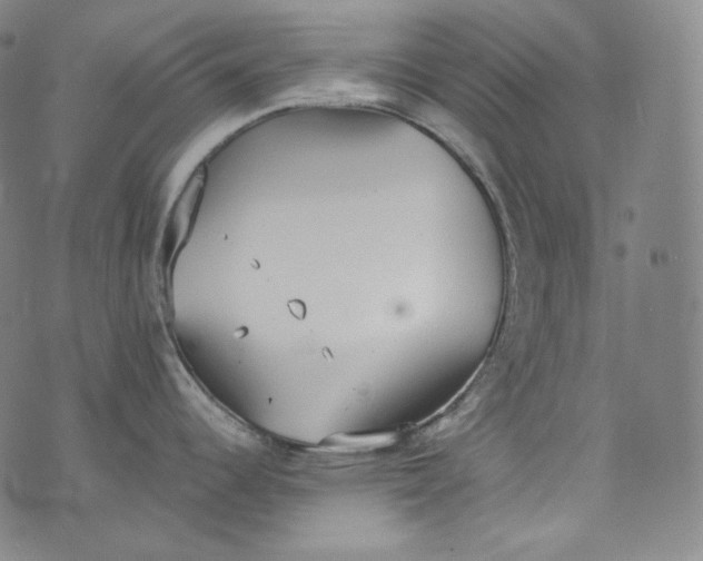 X0000076251344200610122156