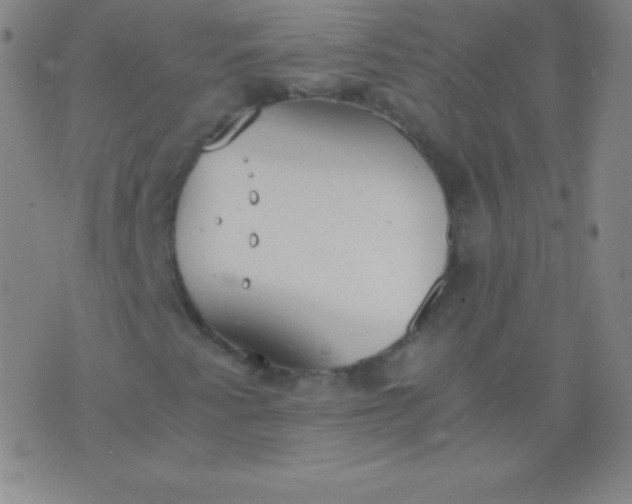 X0000076251345200610122155