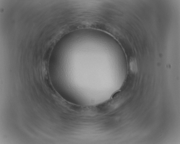 X0000076251347200610122155