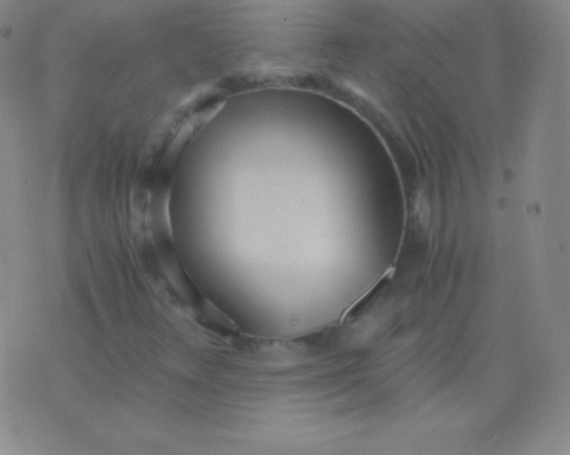 X0000076251348200610122155