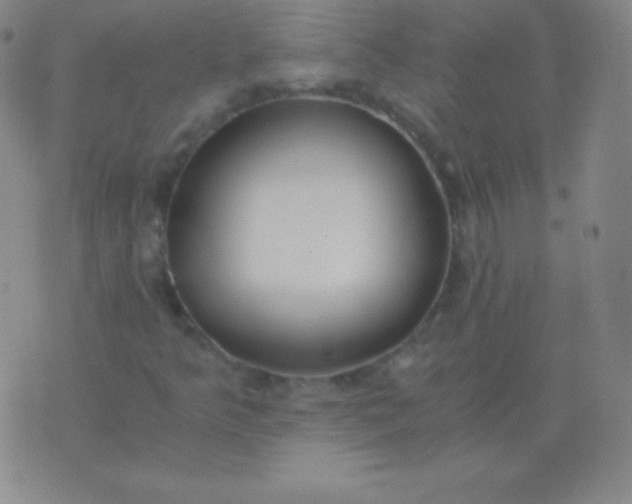 X0000076251349200610122155