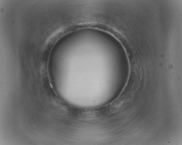 X0000076251351200610122155