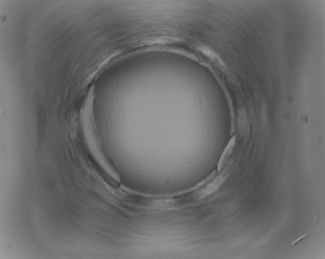 X0000076251353200610122155