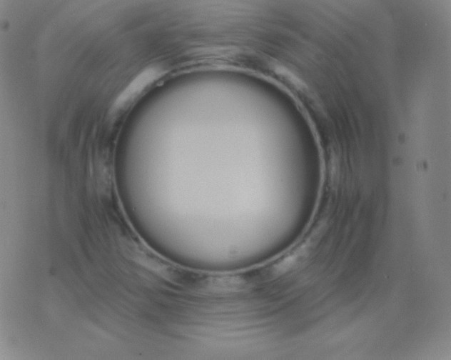 X0000076251354200610122155