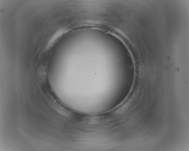 X0000076251355200610122155