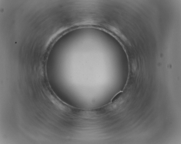 X0000076251356200610122155